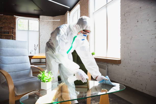 Why You Should Choose Our Mold Remediation Services in Riverton, NJ